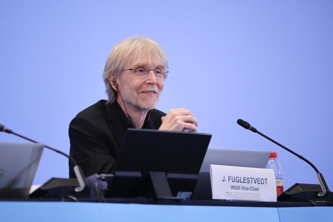 Jan Sigurd Fuglestvedt, WGIII Vice-Chair 