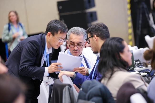Delegates discusssing 
