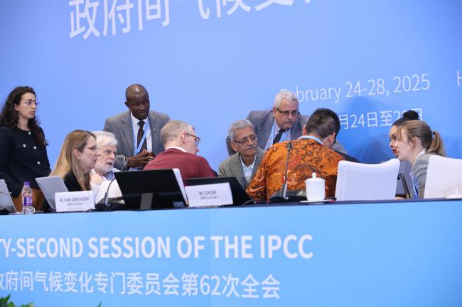 Consultations on the dais WG II 
