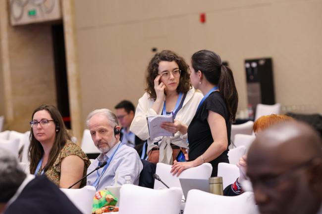 Delegates from the UK 