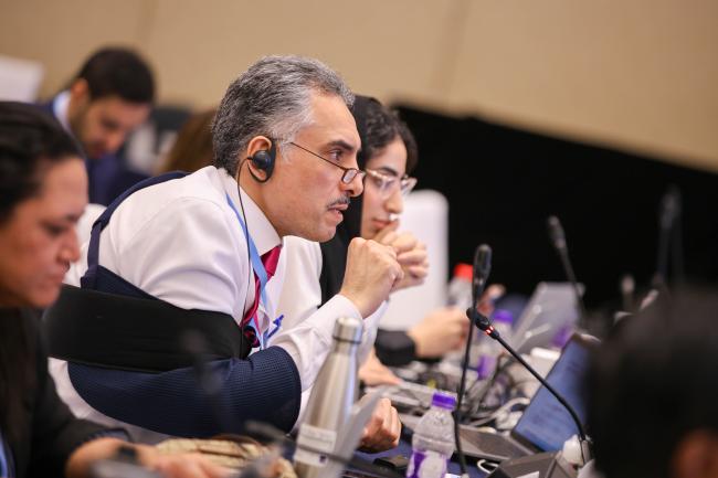 IPCC Vice-Chair Ladislaus Chang’a