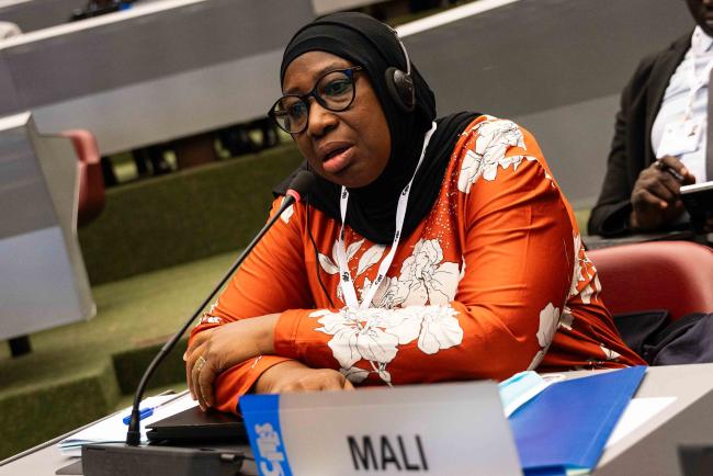 Kanoute Fatoumata Kone, Mali - CITES_SC78_3feb2025-photo