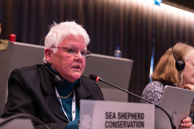 Nina Young, Sea Shepherd Conservation Society - CITES_SC78_5feb2025-photo