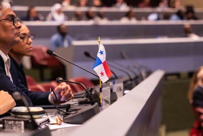 Panama flag at Plenary - CITES_SC78_8feb2025-photo