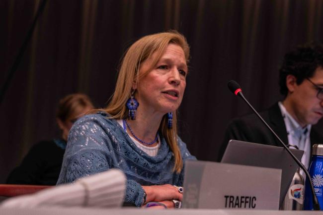 Paola Mosig Reidl, TRAFFIC - CITES_SC78_4feb2025-photo