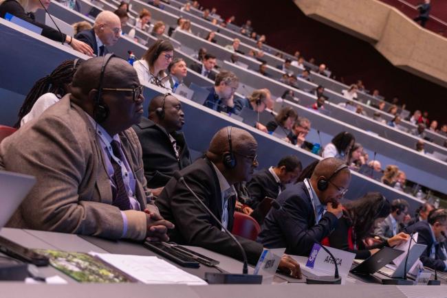 Plenary 3 - CITES_SC78_5feb2025-photo