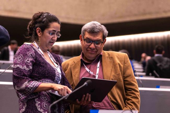 Plenary 6 - CITES_SC78_4feb2025-photo