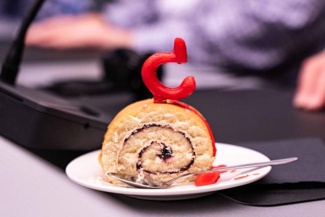 Plenary Cake - CITES_SC78_7feb2025-photo