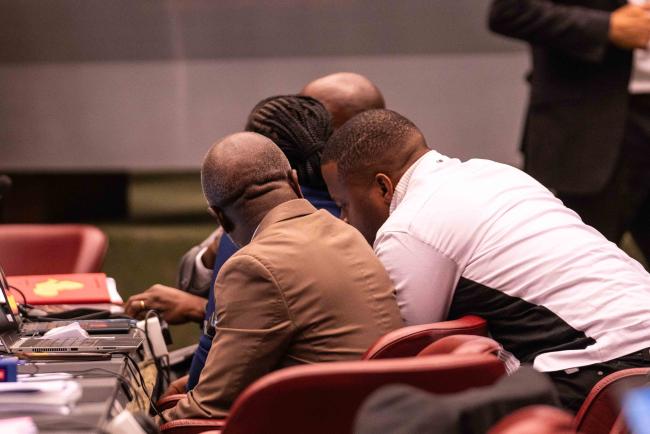 Plenary parties consulting - CITES_SC78_6feb2025-photo