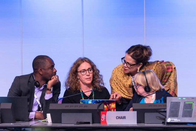 SC 78 Chair Rosemarie Gnam consults with the Secretariat - CITES_SC78_5feb2025-photo
