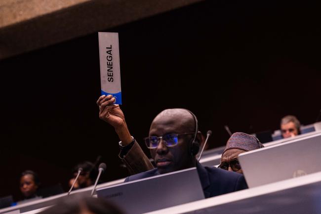 Senegal asking for the floor - CITES_SC78_6feb2025-photo