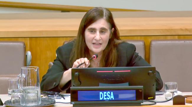 Shari Spiegel, UN DESA