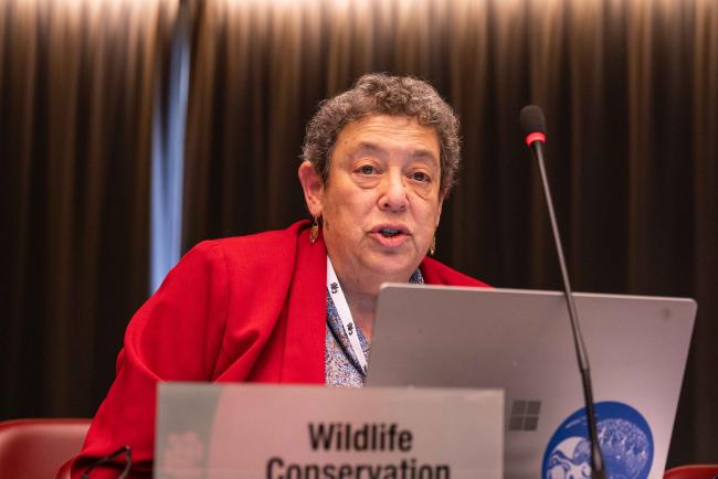 Sue Lieberman, Wildlife Conservation Society - CITES_SC78_8feb2025-photo