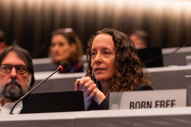 Tanya Sanerib, Canter for Biological - CITES_SC78_3feb2025-photo