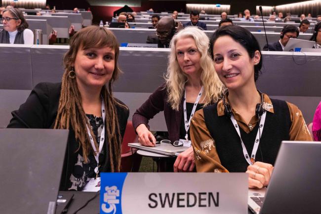 The delegation from Sweden - CITES_SC78_8feb2025-photo