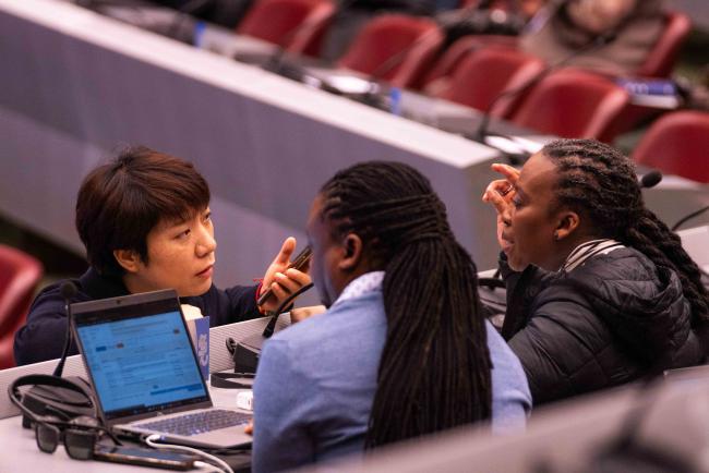 in between session 3 - CITES_SC78_3feb2025-photo