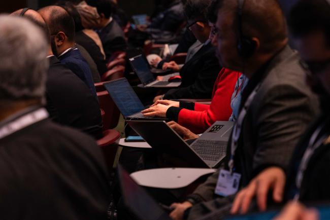 plenary arms - CITES_SC78_8feb2025-photo