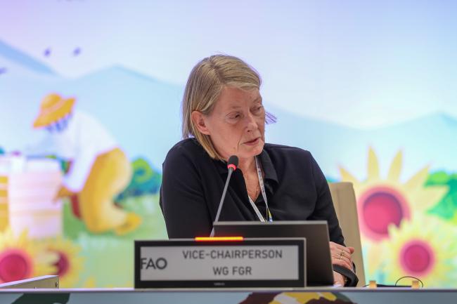 Joukje Buiteveld, Vice-Chair, Intergovernmental Technical Working Group on Forest Genetic Resources