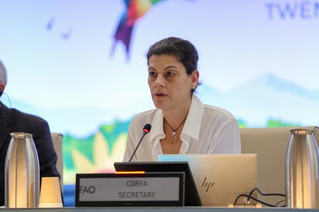 CGRFA Secretary Manoela Pessoa de Miranda