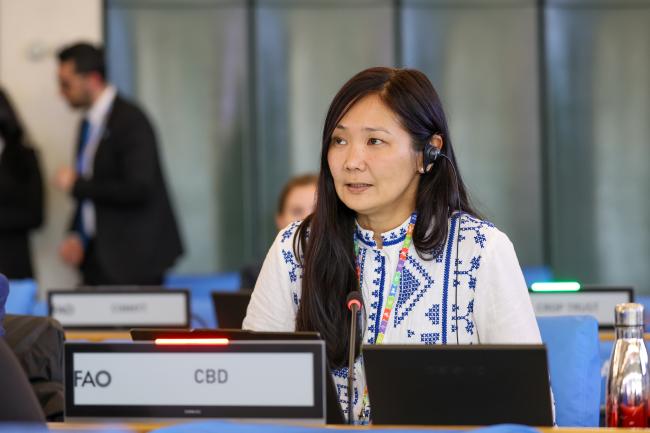 Monica Kobayashi, CBD
