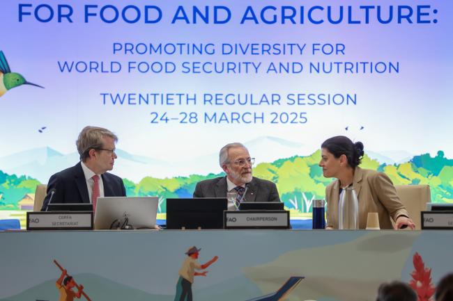 From L-R: Dan Leskien, CGRFA Secretariat; CGRFA 20 Chair Benoît Girard, Canada; and CGRFA Secretary Manoela Pessoa de Miranda