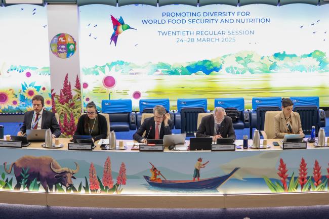 View of the dais during the closing plenary