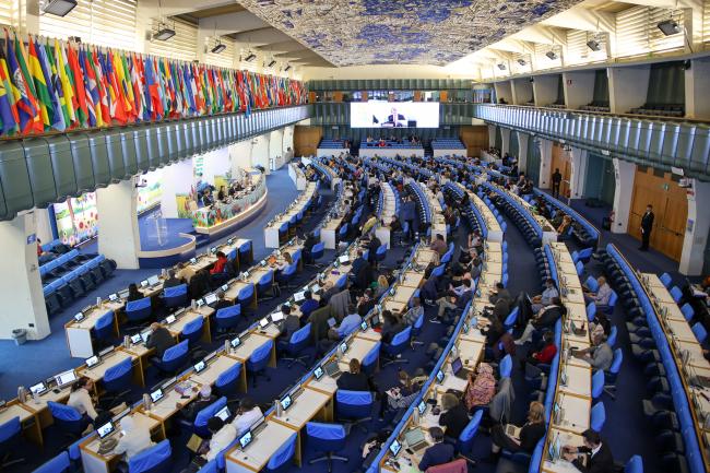 View of the room during the closing plenary