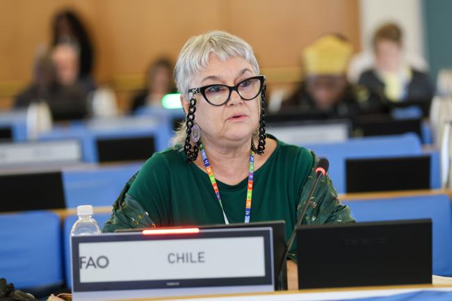 Teresa Agüero Teare, Chile