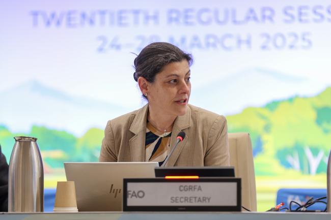 CGRFA Secretary Manoela Pessoa de Miranda