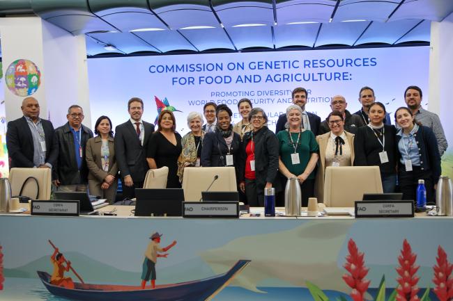 Delegates from Latin American and Caribbean region