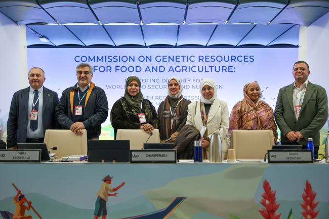 Delegates from the Near East region