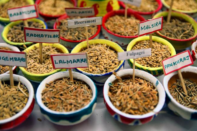 Seeds