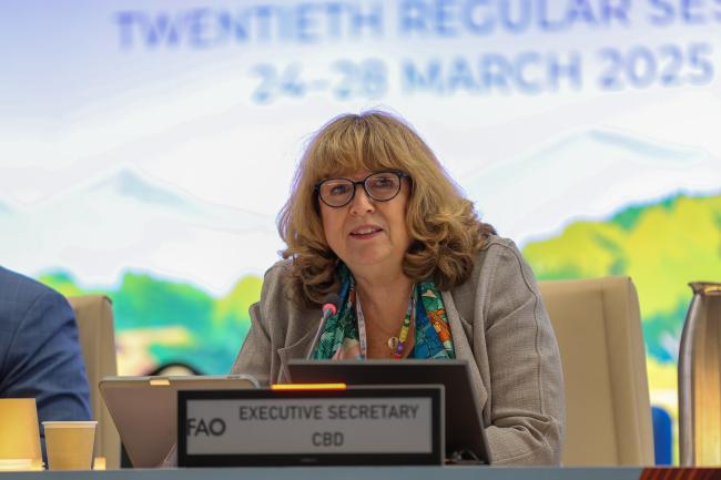 CBD Executive Secretary Astrid Schomaker