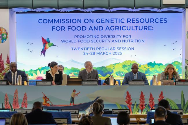 From L-R: ITPGRFA Secretary Kent Nnadozie; CGRFA Secretary Manoela Pessoa De Miranda; CGRFA 20 Chair Benoit Girard, Canada; UN FAO Deputy Director-General Godfrey Magwenzi; and CBD Executive Secretary Astrid Schomaker