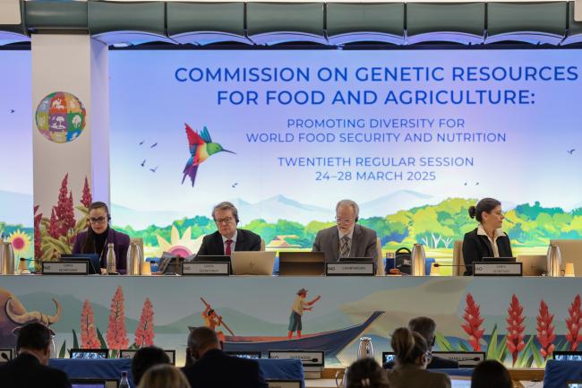 From L-R: Suzanne Redfern, CGRFA Secretariat; Dan Leskien, CGRFA Secretariat; CGRFA 20 Chair Benoit Girard, Canada; and CGRFA Secretary Manoela Pessoa De Miranda