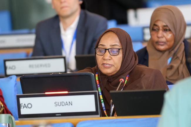 Samia Gaafar Mohamed Bitik, Sudan