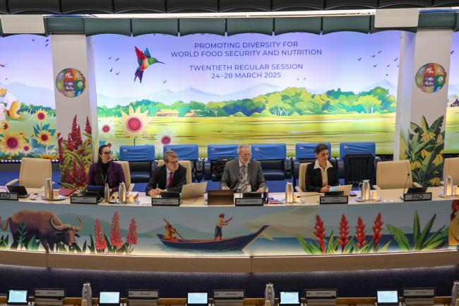 From L-R: Suzanne Redfern, CGRFA Secretariat; Dan Leskien, CGRFA Secretariat; CGRFA 20 Chair Benoit Girard, Canada; and CGRFA Secretary Manoela Pessoa De Miranda