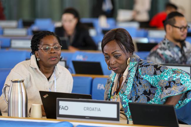 Delegates from Côte d’Ivoire conferring before the morning plenary