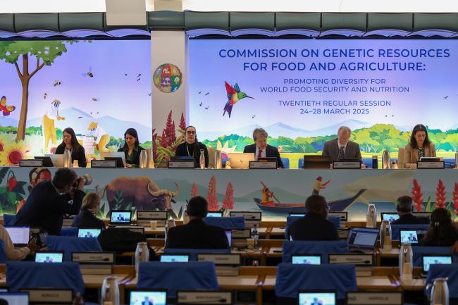 View of the dais during the morning plenary