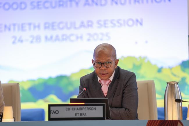 Belemane Semoli, Co-Chairperson, Ad Hoc Expert Team on Biodiversity for Food and Agriculture