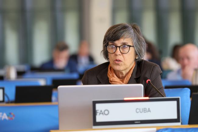 Lianne Fernández Granda, Cuba