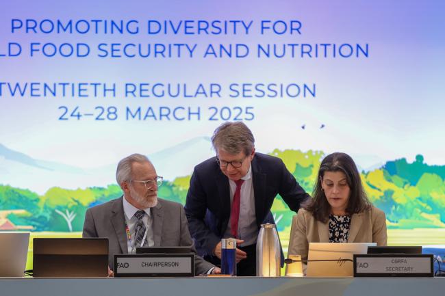 From L-R: CGRFA 20 Chair Benoit Girard, Canada; Dan Leskien, CGRFA Secretariat; and CGRFA Secretary Manoela Pessoa De Miranda