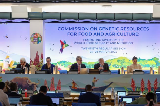 View of the dais during the morning plenary