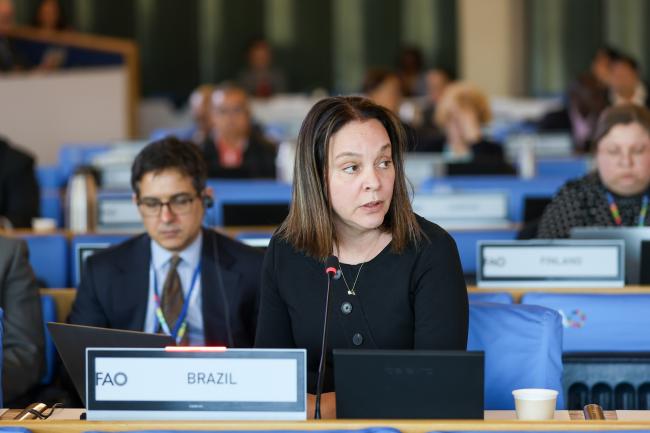 Carla Barroso Carneiro, Brazil