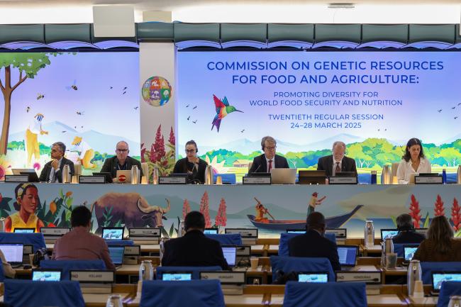 View of the dais during the morning plenary