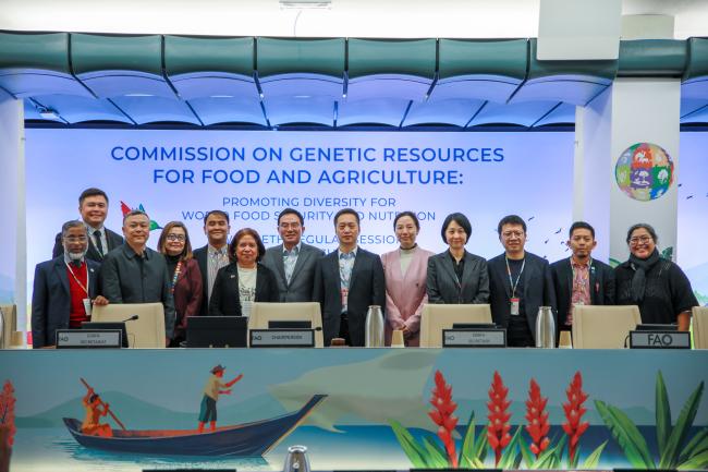 Delegates from the Asian region