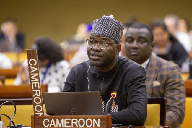 Cameroon - ISA30-1 -27March2025