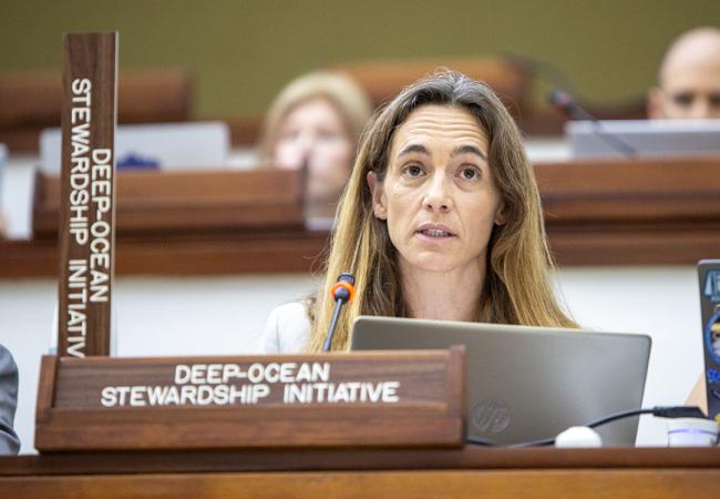 Deep Ocean Stewardship Initiative - ISA30-1 -19March2025