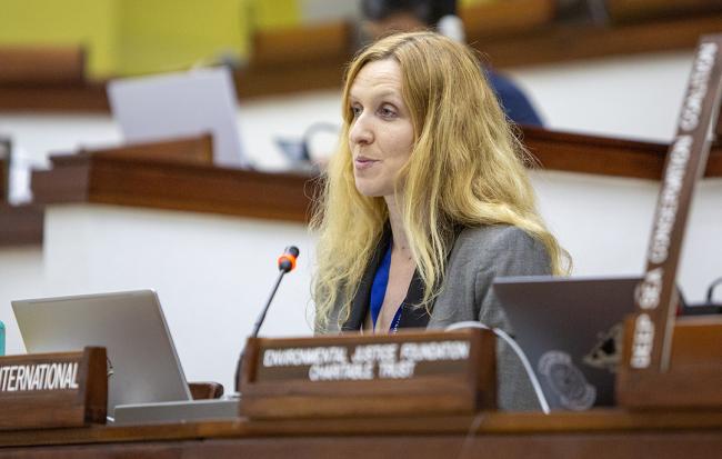 Greenpeace - ISA30-1 -28March2025