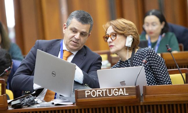 Delegates from Portugal during consultations in the plenary - ISA-30_1-17March2025.jpg